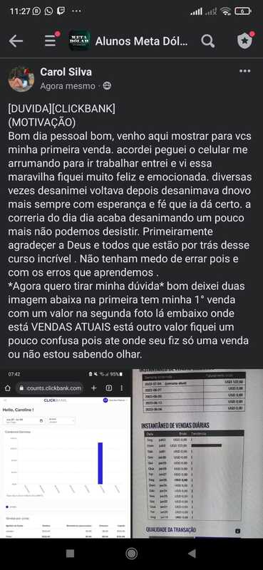 Curso Meta Dolar depoimento e resultados prints de alunos