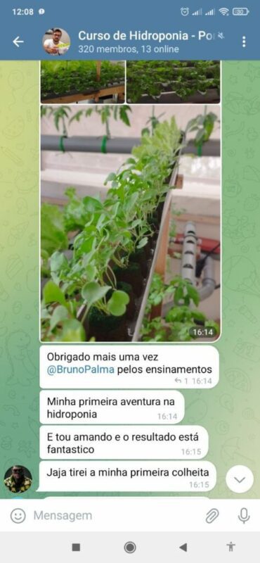 Curso de Hidroponia do Bruno Palma é bom vale a pena