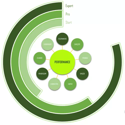 Curso Mestre em 2 tempos funciona mesmo