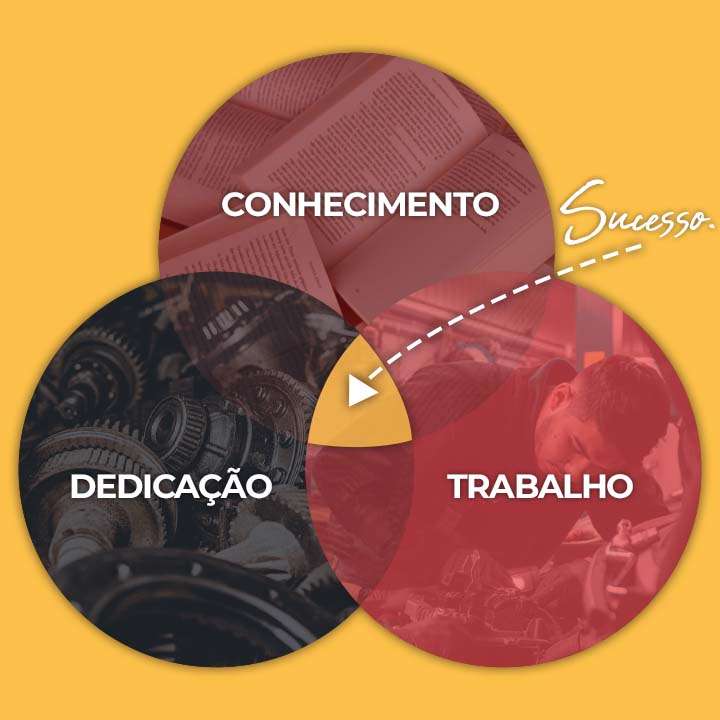 Curso Mestres da Injeção Programável funciona mesmo