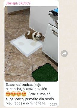 Método Meu Cão Sob Controle depoimento e resultados prints de alunos