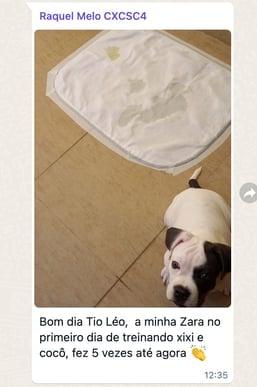 Método Meu Cão Sob Controle depoimento e resultados prints de alunos