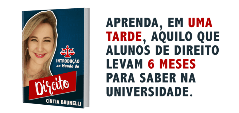 Introdução ao Mundo do Direito (eBook) da Cintia Brunelli é bom vale a pena