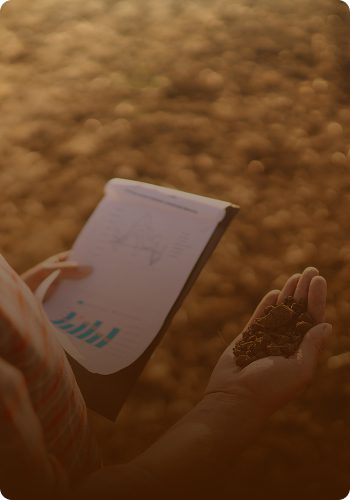 Curso Adubação para Altas Produtividades: Café funciona mesmo