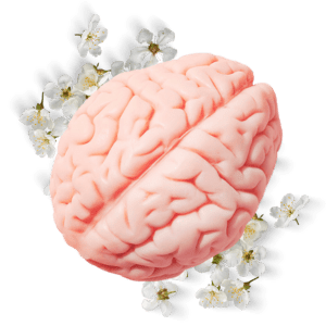 Curso de Psicoterapia e Psicanálise do Instituto Saber Consciente é bom vale a pena