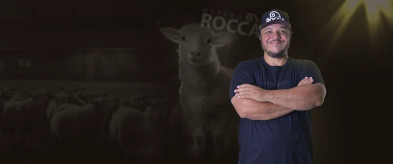 Método Rocca para criação de ovinos funciona mesmo