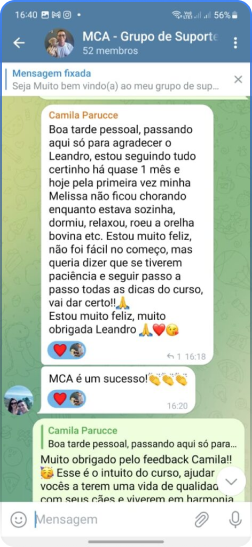 Método Cão Adestrado depoimento e resultados prints de alunos
