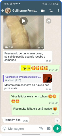 Método Cão Adestrado depoimento e resultados prints de alunos
