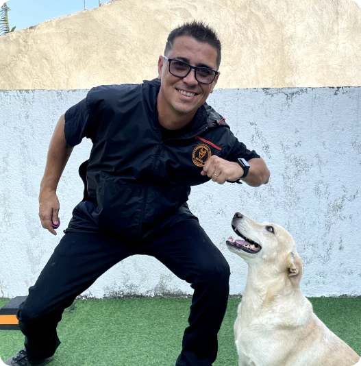 Método Cão Adestrado é Bom