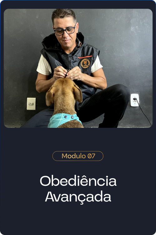 Método Cão Adestrado reclame aqui é confiável