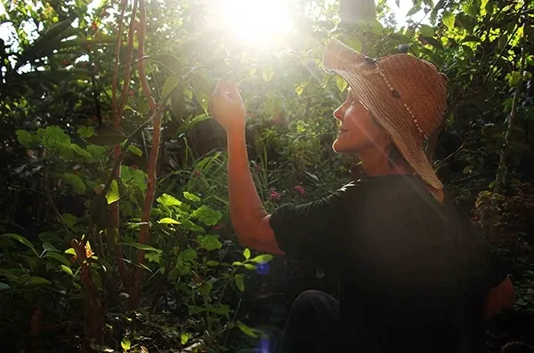 Curso O Maravilhoso Mundo dos Jardins Agroecológicos funciona mesmo