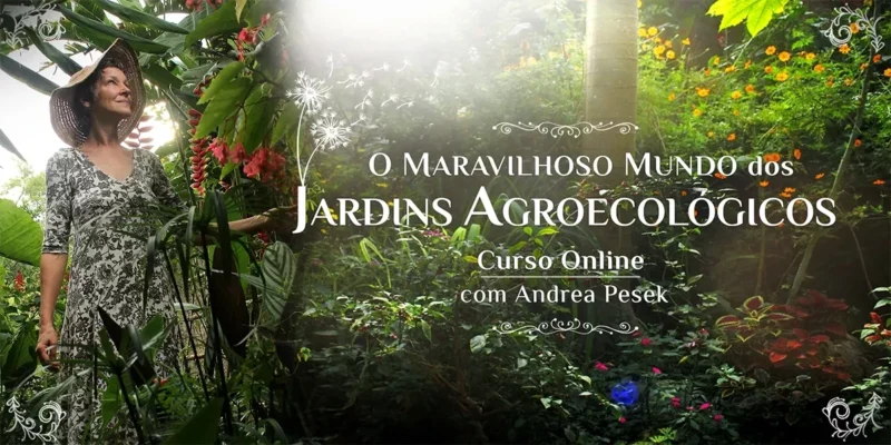 Curso O Maravilhoso Mundo dos Jardins Agroecológicos site-oficial-comprar