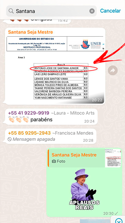 Curso Seja Mestre depoimento e resultados prints de alunos
