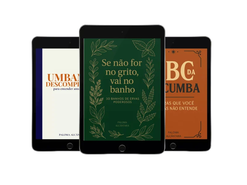Livro Uma Macumbeira em Construção é bom vale a pena